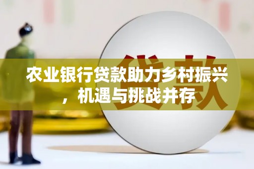 镜湖农业银行贷款助力乡村振兴，机遇与挑战并存