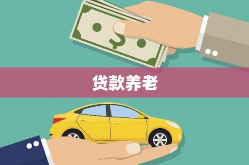 镜湖贷款养老