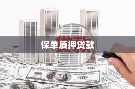 镜湖保单质押贷款