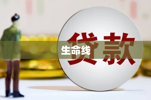 镜湖生命线