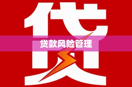 镜湖贷款风险管理
