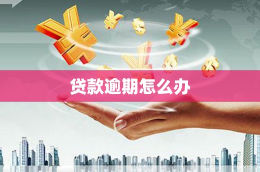 镜湖贷款逾期怎么办