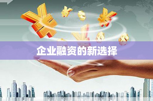 镜湖企业融资的新选择