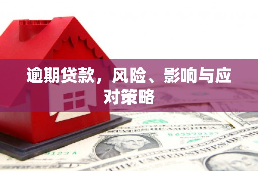 镜湖逾期贷款，风险、影响与应对策略