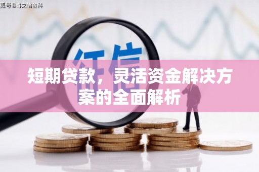 镜湖短期贷款，灵活资金解决方案的全面解析
