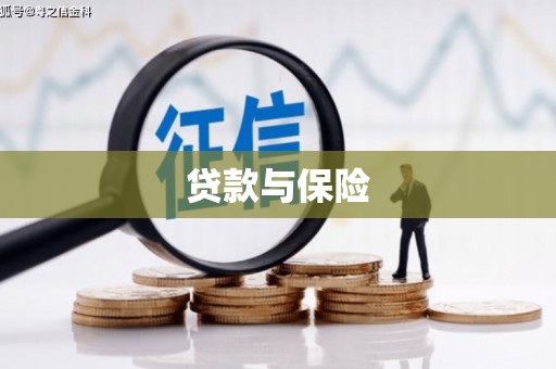 镜湖贷款与保险