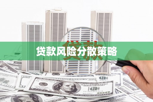 镜湖贷款风险分散策略
