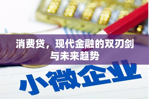 镜湖消费贷，现代金融的双刃剑与未来趋势