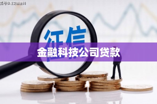 镜湖金融科技公司贷款