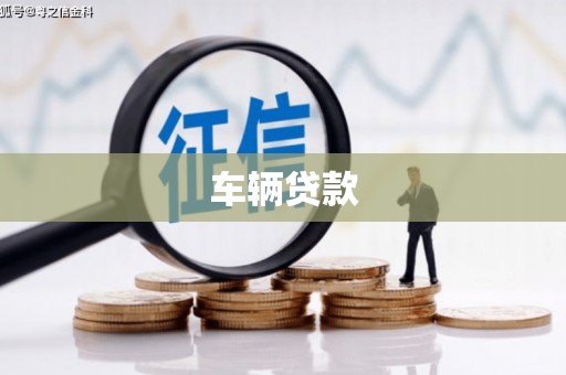 镜湖车辆贷款