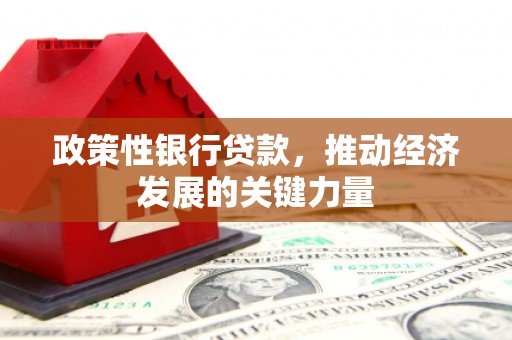 镜湖政策性银行贷款，推动经济发展的关键力量