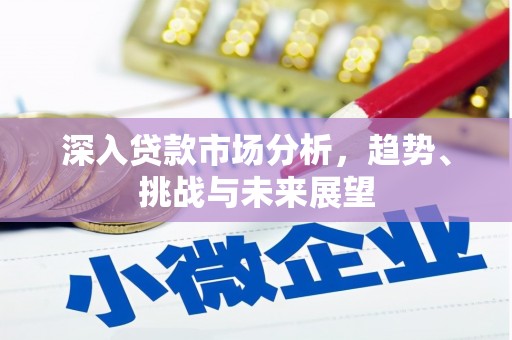 镜湖深入贷款市场分析，趋势、挑战与未来展望