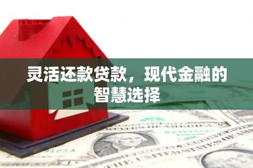 镜湖灵活还款贷款，现代金融的智慧选择