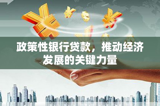 镜湖政策性银行贷款，推动经济发展的关键力量