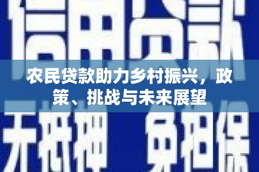 镜湖农民贷款助力乡村振兴，政策、挑战与未来展望
