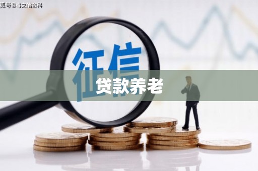 镜湖贷款养老