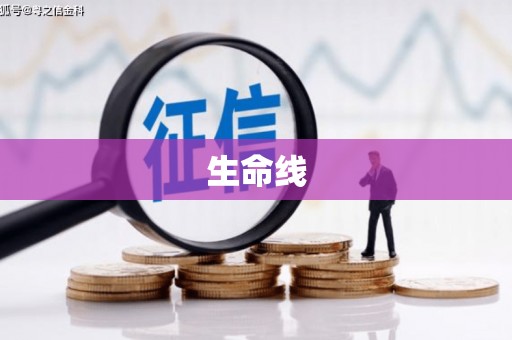 镜湖生命线