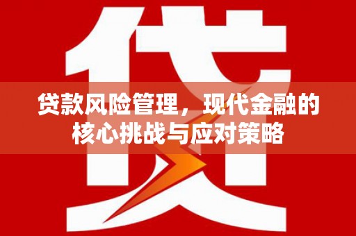镜湖贷款风险管理，现代金融的核心挑战与应对策略