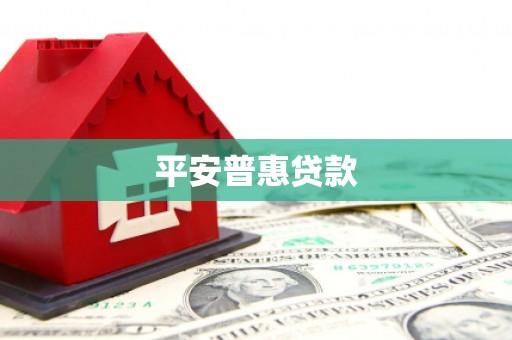 镜湖平安普惠贷款