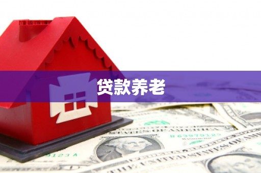 镜湖贷款养老