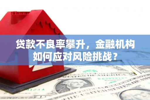 镜湖贷款不良率攀升，金融机构如何应对风险挑战？