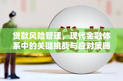 镜湖贷款风险管理，现代金融体系中的关键挑战与应对策略