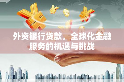 镜湖外资银行贷款，全球化金融服务的机遇与挑战