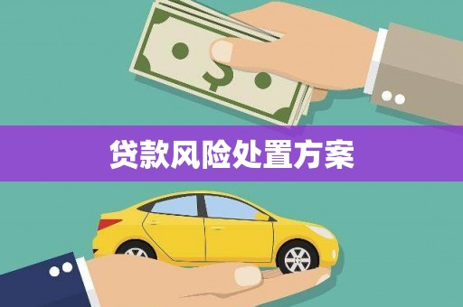 镜湖贷款风险处置方案