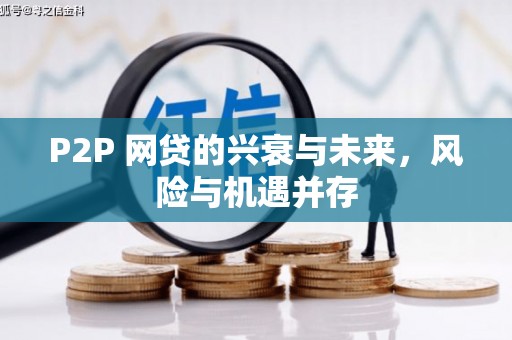 镜湖P2P 网贷的兴衰与未来，风险与机遇并存