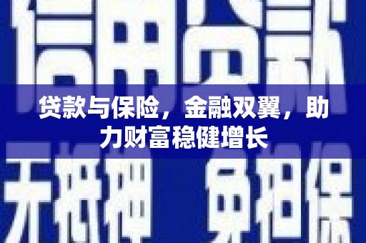 镜湖贷款与保险，金融双翼，助力财富稳健增长