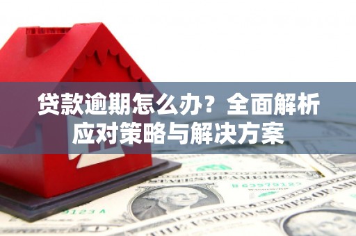 镜湖贷款逾期怎么办？全面解析应对策略与解决方案