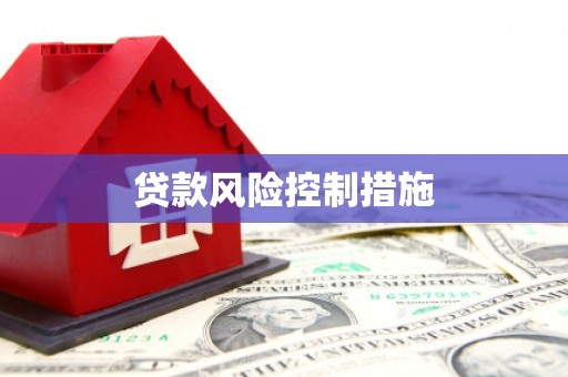 镜湖贷款风险控制措施