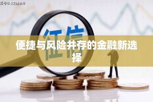 镜湖便捷与风险并存的金融新选择