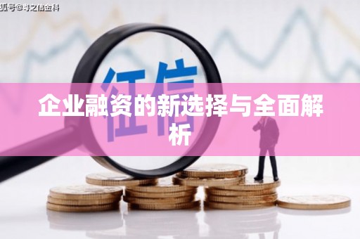 镜湖企业融资的新选择与全面解析
