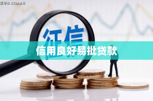镜湖信用良好易批贷款