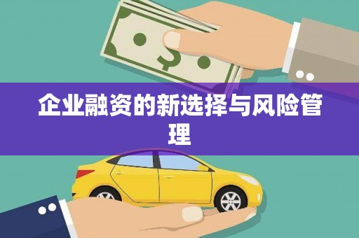 镜湖企业融资的新选择与风险管理