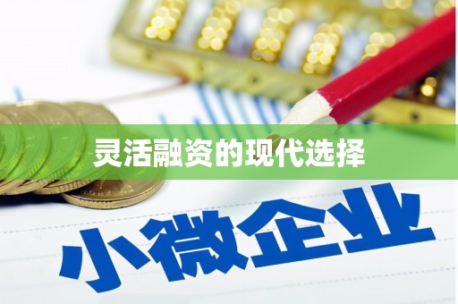 镜湖灵活融资的现代选择