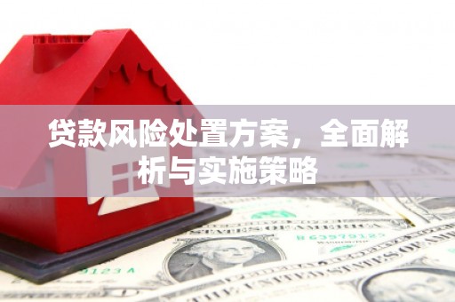 镜湖贷款风险处置方案，全面解析与实施策略