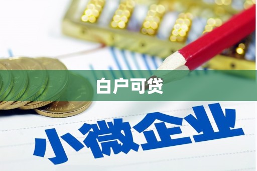镜湖白户可贷
