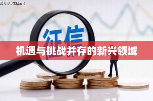 镜湖机遇与挑战并存的新兴领域