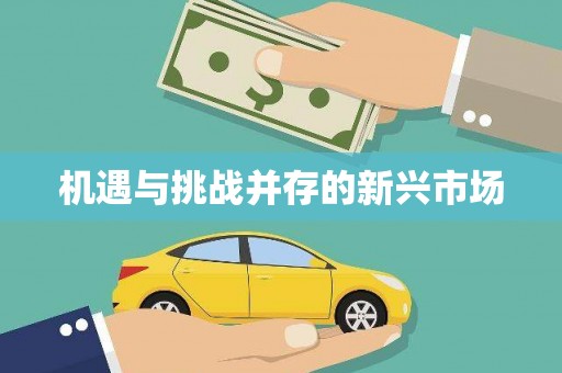 镜湖机遇与挑战并存的新兴市场