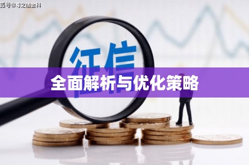 镜湖全面解析与优化策略