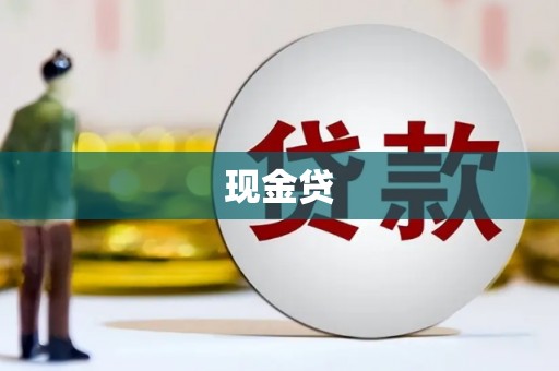 镜湖现金贷