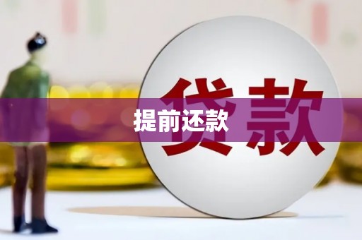 镜湖提前还款
