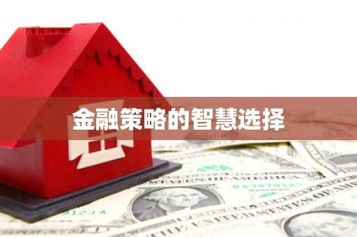 镜湖金融策略的智慧选择