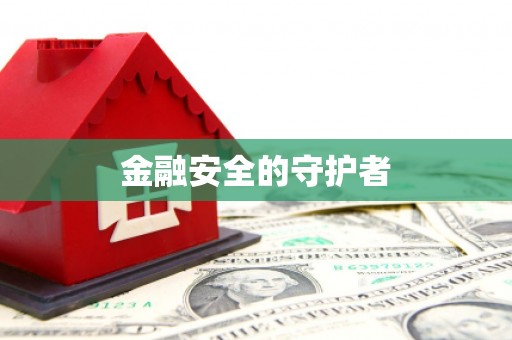 镜湖金融安全的守护者