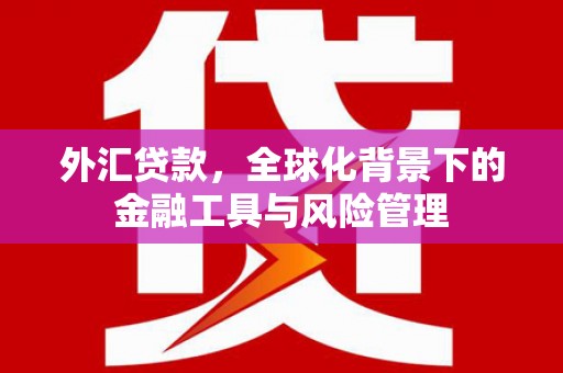 镜湖外汇贷款，全球化背景下的金融工具与风险管理