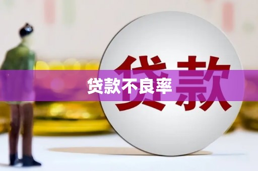 镜湖贷款不良率