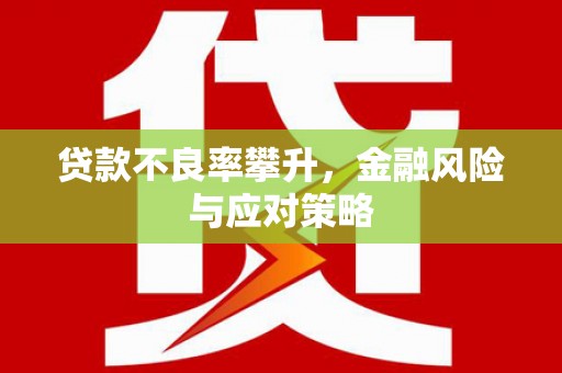 镜湖贷款不良率攀升，金融风险与应对策略