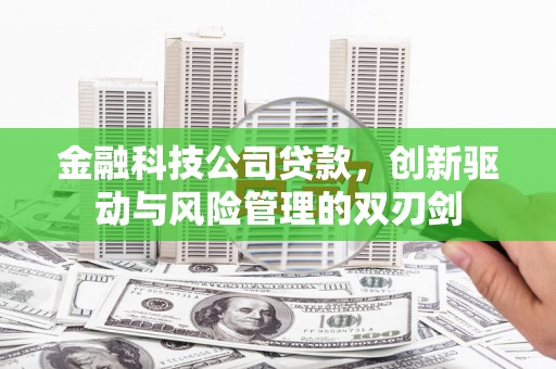 镜湖金融科技公司贷款，创新驱动与风险管理的双刃剑